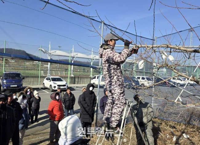 충주시농기센터, 복숭아 정지전정 현장교육 성료