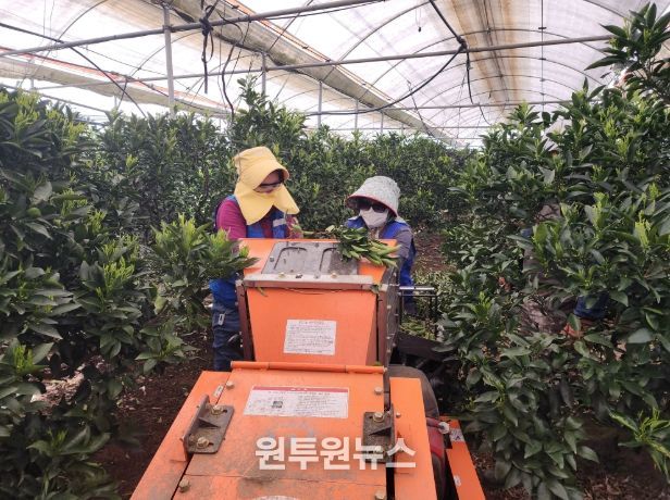 농번기 파쇄기 사용