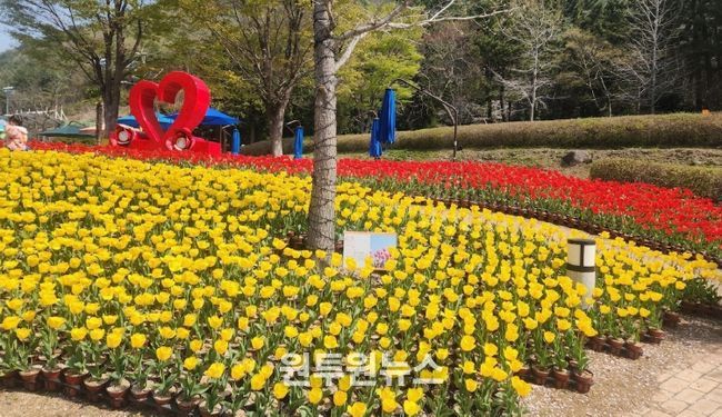 광장·산책로 일대 봄꽃동산 조성,