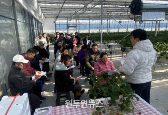 진도군정신건강복지센터, 달콤한 딸기농장 체험으로 마음까지 힐링