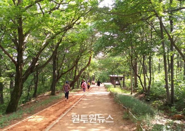 김해시 분성산 생태숲 황톳길 개장