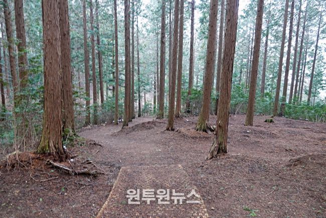 고창치유의숲(출처_마케팅센터)