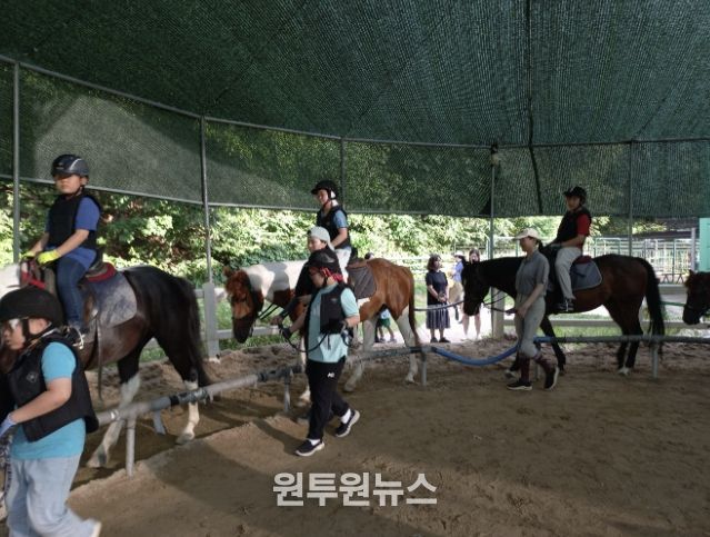 과천시 학생승마 지원사업 말타기 수업 모습