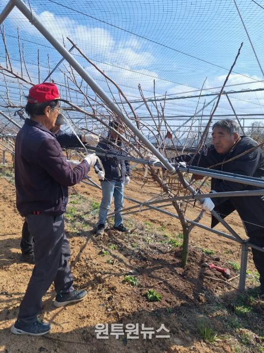 맞춤형 영농지원 본격화