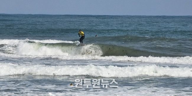 지난해 메이어스컵 서핑 챔피언십 대회