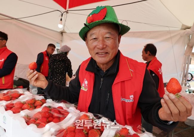 논산딸기축제 SNS인증샷 열풍