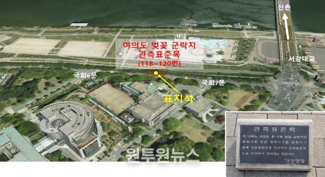 여의도 윤중로 벚꽃 군락 단지 관측 장소