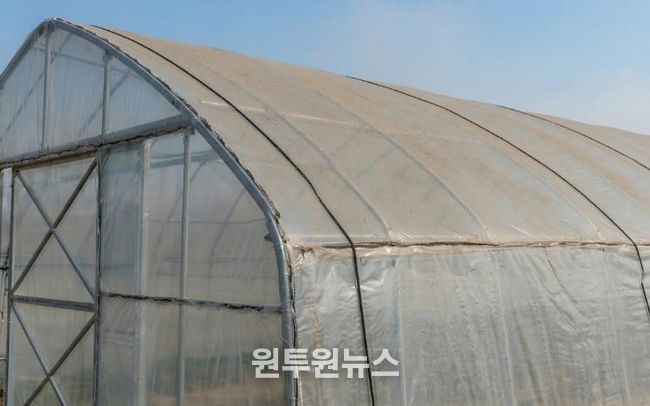 시설하우스 위 미세먼지·황사 사진