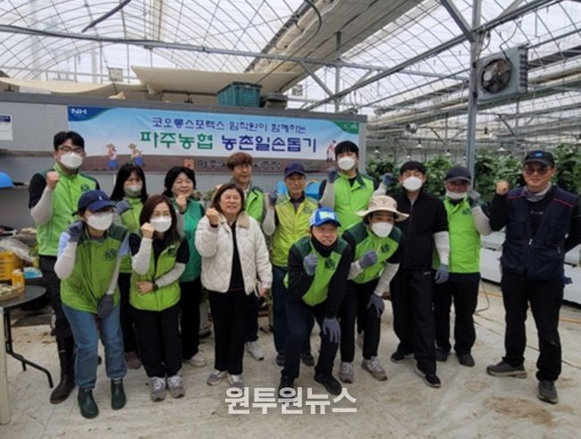 파주시 파주읍, 파주시새마을부녀회·코오롱스포렉스 임직원과 함께 가지농장 일손 돕기