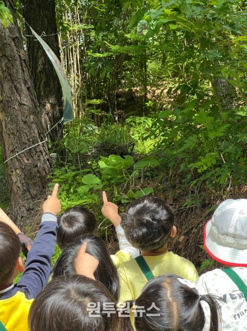 잎새숨결 자연놀이