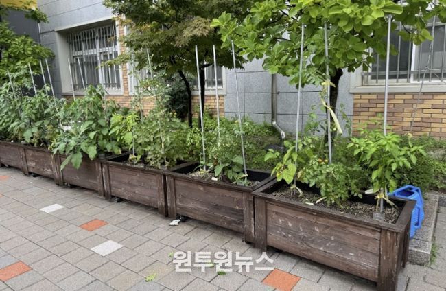 수원시 장안구, 초등학교 대상 새싹텃밭 조성 지원