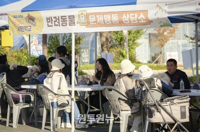 과천시, 광견병 예방접종 지원사업 실시