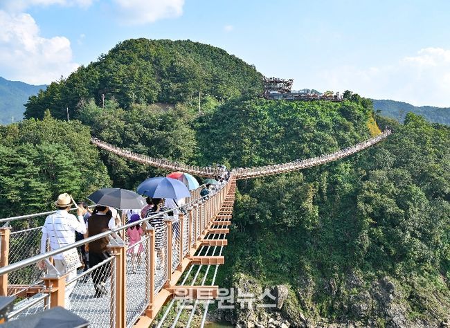 한탄강 Y자출렁다리