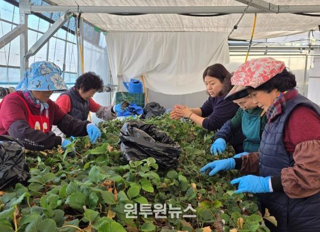 여성농업인 활동 사진