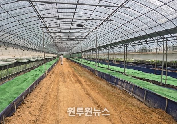 지렁이 사육농가