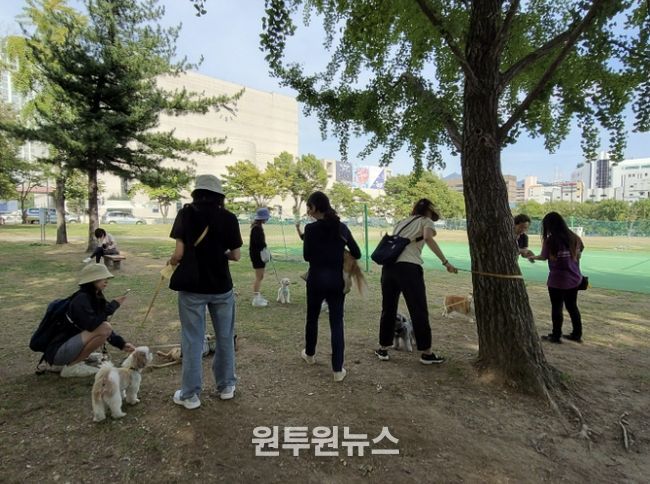 반려견과 산책하는 과천시민들 모습