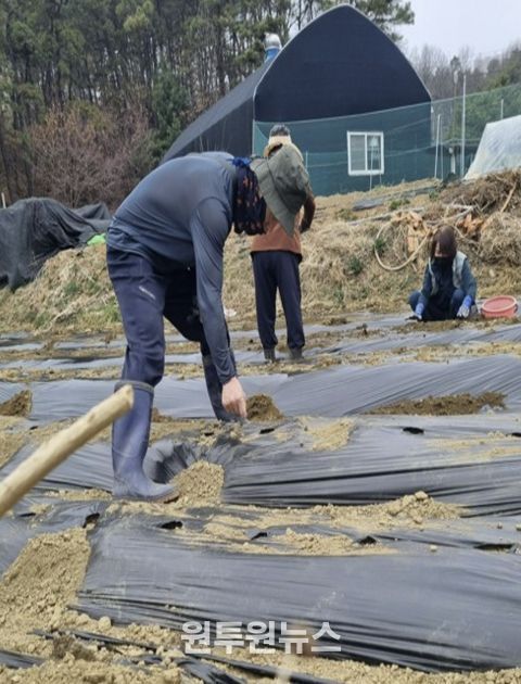 고양시 주교동, 감자로 마음 잇는 ‘감자 심기 행사’ 진행