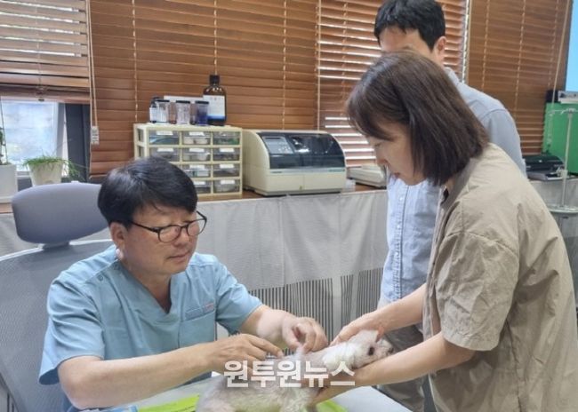 고양시, 2026 상반기 광견병 예방백신 무료 접종 실시