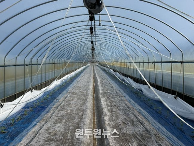 소형 자동화 개폐기 도입으로 수박 재배 노동력 90% 절감