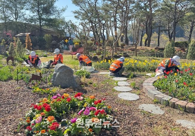 합천군, 봄맞이 녹지공간 정비‘박차’…도심 곳곳 생기 더한다