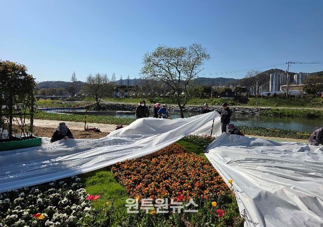 축제 대비 현장 관리 모습