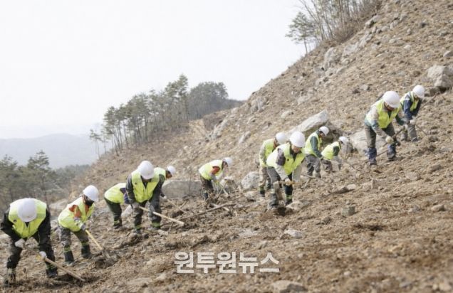 거창군, 2026년 춘기 조림사업 적기 추진 완료