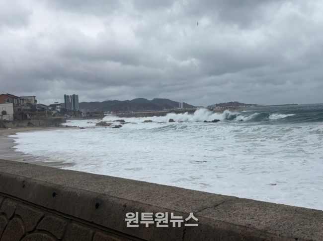 울진해경, 위험예보제「주의보」발령, 너울성 파도 주의