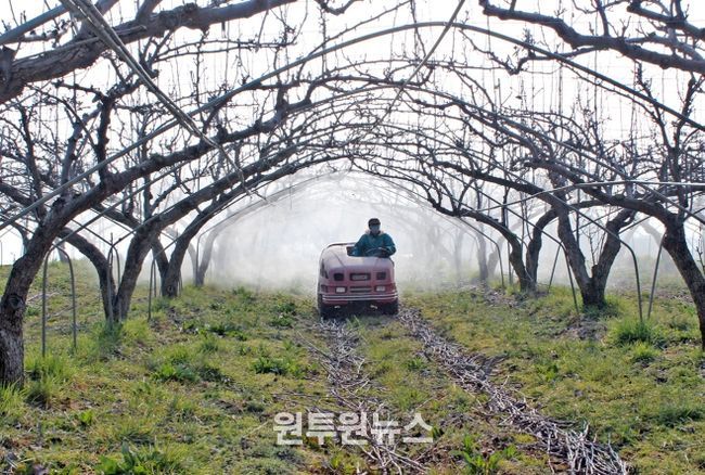 정읍시, 과수화상병 유입 차단 ‘총력’