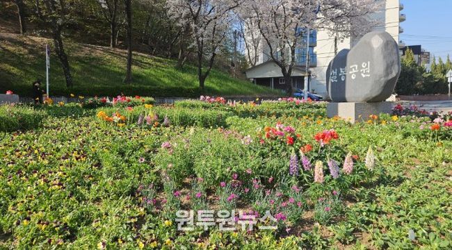 이천시, 설봉공원 봄맞이 초화류 식재 완료