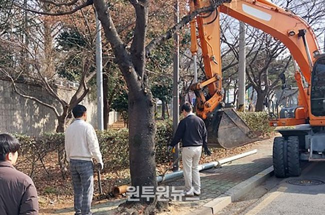 서구, 인도 위 전주·통신주 정비 나선다