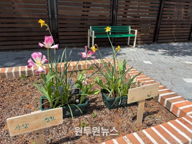 화분심기치유체험