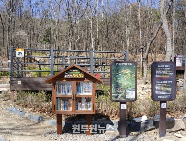 성북동 숲속야영장에 조성된 ‘BOOK캠핑 문고’ 사진