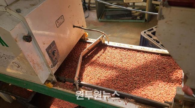 서산시, 벼 종자소독·못자리 현장 중점지도반 운영