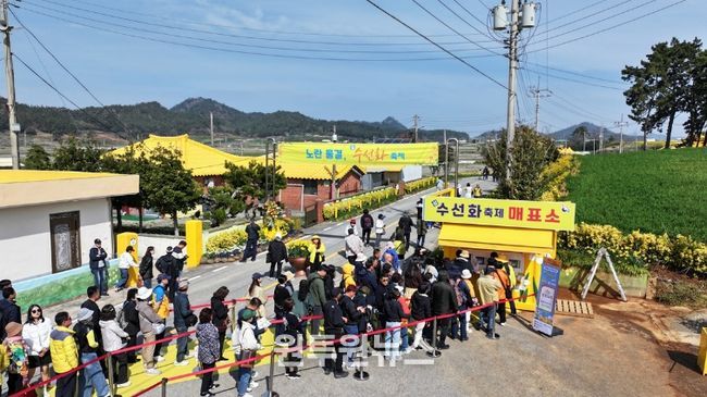 2026년 섬 수선화 축제