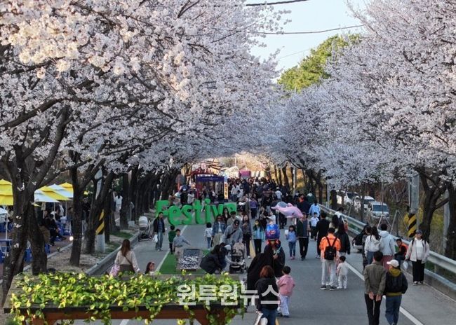 제10회 여주흥천남한강벚꽃축제 43만명 방문, 역대 최고 성과 달성