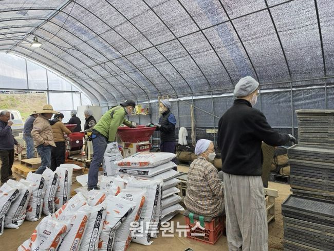 용인특례시 벼 파종 전 충분한 발아와 종자 소독을 당부했다. 사진은 벼 파종 준비 모습