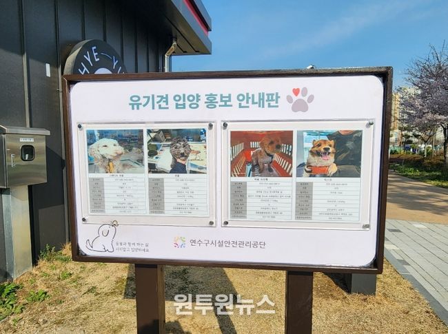 유기견 팻말