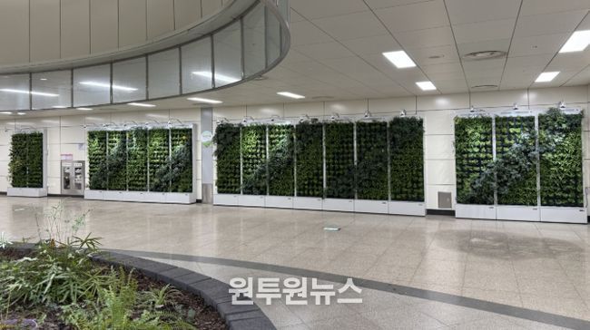 남양주시, 별내별가람역 실내정원 정비…공기정화 식물 900여 개 식재