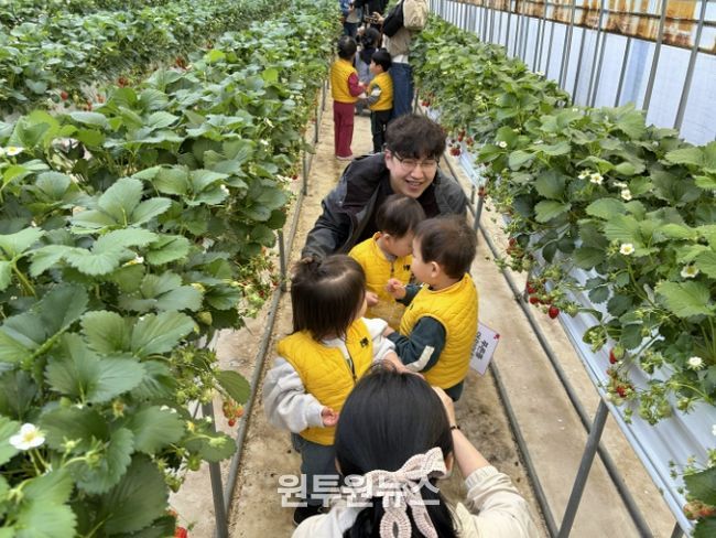 충주시 급식지원센터, 아빠와 함께하는 ‘딸기 따기’체험 성료