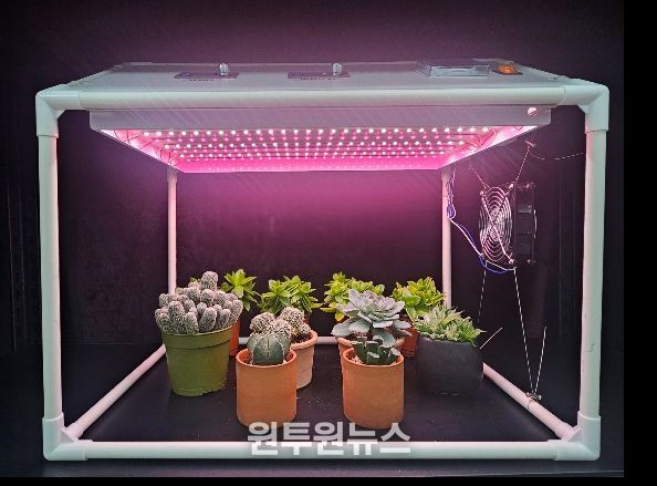 가정용 다육식물 생육상