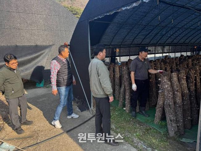 표고버섯 컨설팅