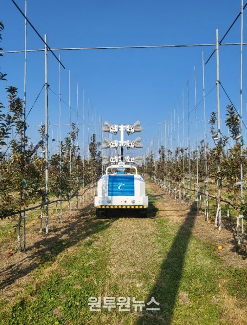 장수군, AI 기반 기상예측 기술로 사과 재배 농가 경쟁력 강화